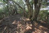 筑前 城ノ越山城砦群Aの写真