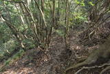 筑前 城ノ越山城砦群Aの写真