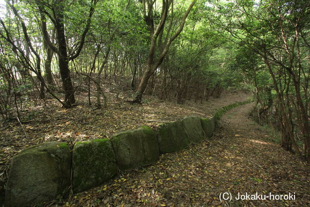 筑前 鹿毛馬神籠石の写真