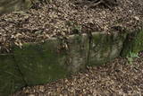 筑前 鹿毛馬神籠石の写真