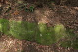 筑前 鹿毛馬神籠石の写真