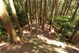 筑前 (仮)上米多比城の写真