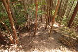 筑前 (仮)上米多比城の写真