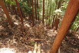 筑前 (仮)上米多比城の写真