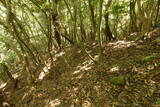 筑前 笠木山城の写真