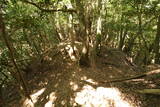 筑前 笠木山城の写真