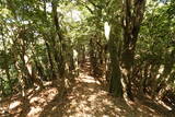 筑前 笠木山城の写真