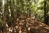 筑前 笠木山城の写真