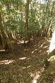 筑前 笠木山城の写真