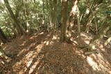筑前 笠木山城の写真