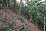 筑前 笠木山城の写真
