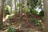 筑前 臼ヶ岳城(薦野城)の写真