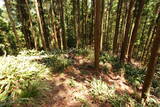 筑前 臼ヶ岳城(薦野城)の写真