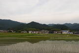 筑前 臼ヶ岳城(薦野城)の写真