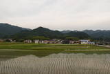 筑前 臼ヶ岳城(薦野城)の写真