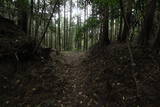 筑前 臼ヶ岳城(薦野城)の写真
