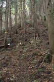 筑前 臼ヶ岳城(薦野城)の写真