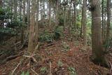 筑前 臼ヶ岳城(薦野城)の写真