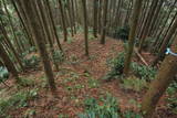 筑前 臼ヶ岳城(薦野城)の写真