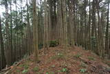 筑前 臼ヶ岳城(薦野城)の写真