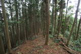 筑前 臼ヶ岳城(薦野城)の写真