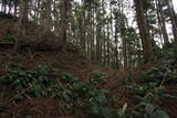 筑前 臼ヶ岳城(薦野城)の写真
