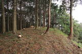 筑前 臼ヶ岳城(薦野城)の写真