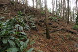 筑前 臼ヶ岳城(薦野城)の写真