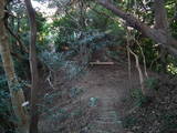 筑前 許斐岳城の写真