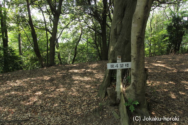 筑前 高来寺砦の写真