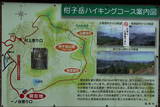 筑前 柑子岳城の写真