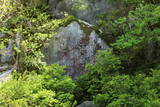 筑前 古処山城の写真