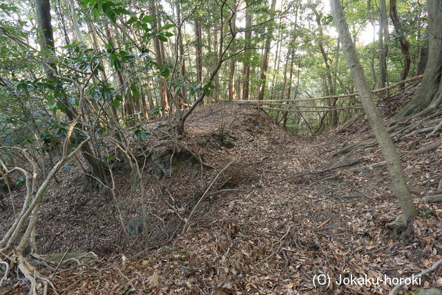 筑前 小鷹城の写真