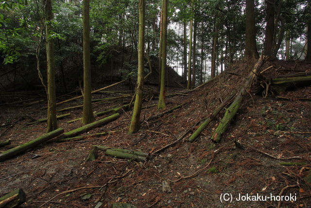 筑前 平山城(上城)の写真