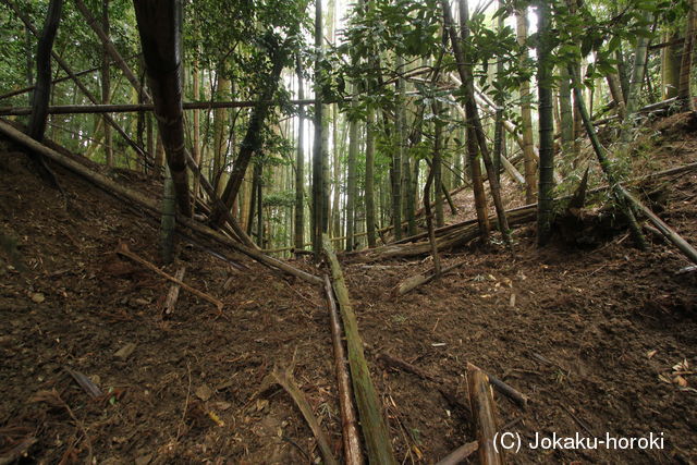 筑前 平山城(中城)の写真