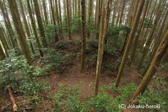 筑前 平山城(下城)の写真