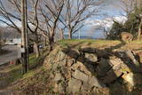 筑前 黒崎城の写真