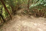 筑前 麻底良城の写真