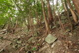 筑前 麻底良城の写真
