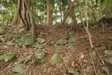 筑前 麻底良城の写真