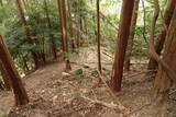 筑前 麻底良城の写真