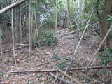 筑前 麻底良城の写真