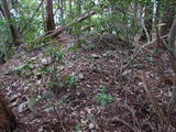 筑前 麻底良城の写真