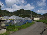 筑前 麻底良城の写真