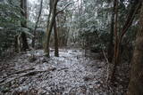 筑前 三日月山城砦群BCDの写真