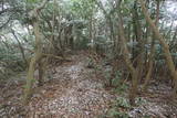 筑前 三日月山城砦群BCDの写真