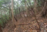 筑前 三日月山城砦群BCDの写真