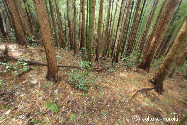 筑前 三日月山城砦群Hの写真