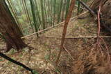 筑前 三日月山城砦群Hの写真