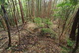 筑前 三日月山城砦群Hの写真